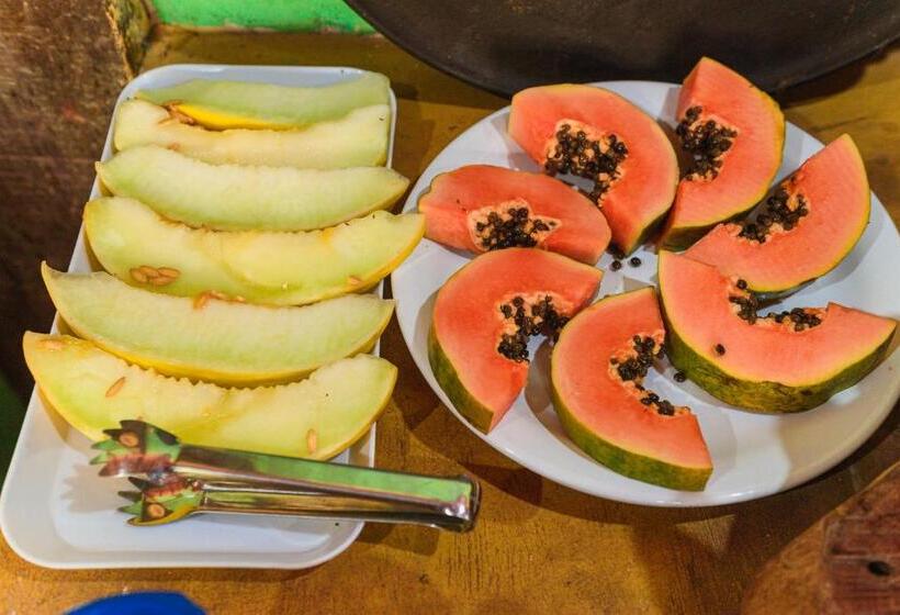 پانسیون Pousada Casa De Fadas