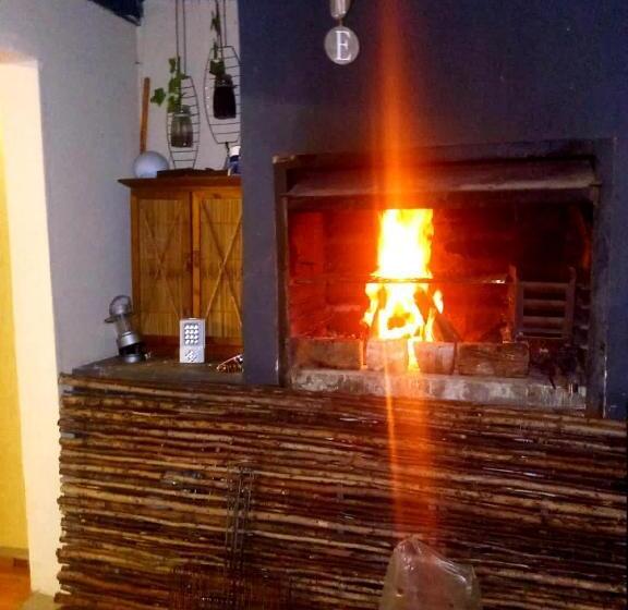 膳宿费 Gh Redpillars