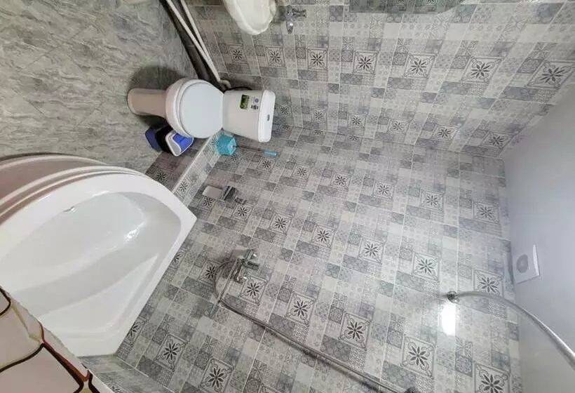 هاستل Avesto2