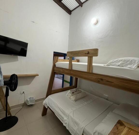 Hotel Nativo Hostel Venecia