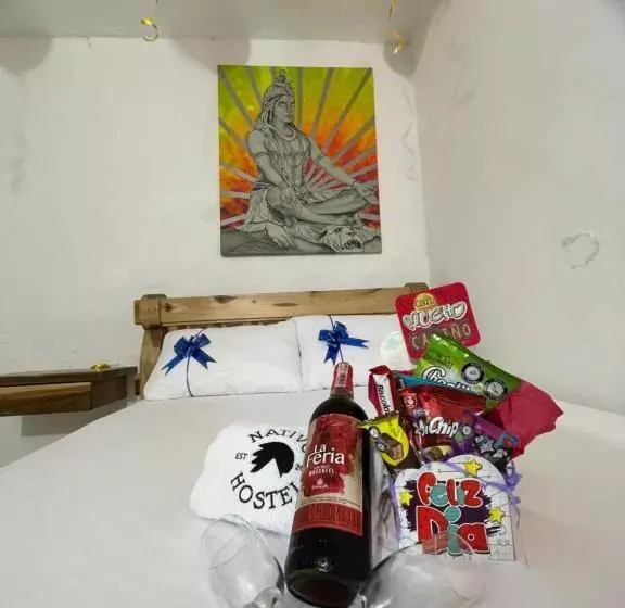 ホテル Nativo Hostel Venecia