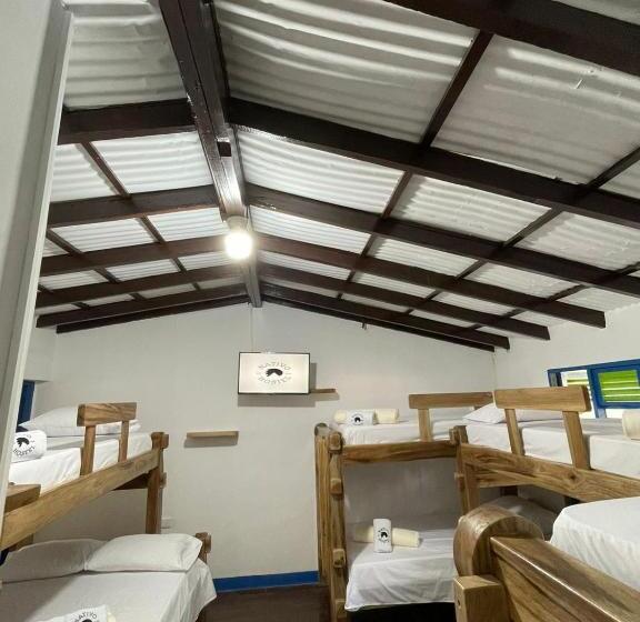 Hotel Nativo Hostel Venecia