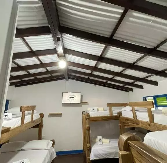 ホテル Nativo Hostel Venecia