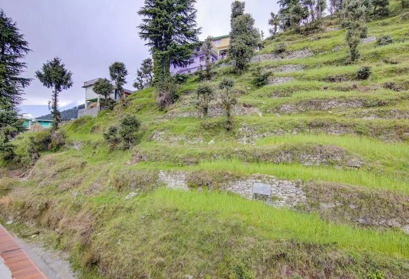 ホテル Treebo Down Town, Dalhousie