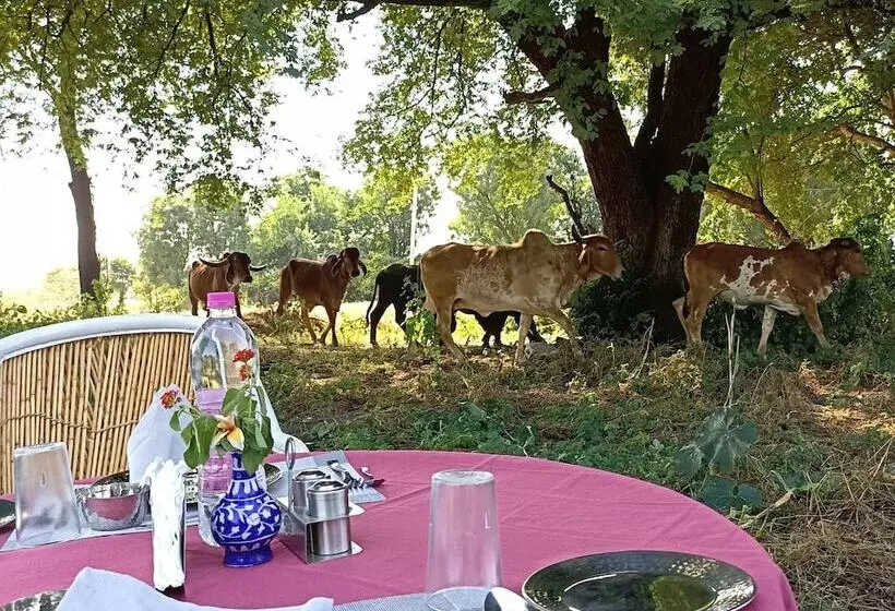 ホテル Fort Chabariya