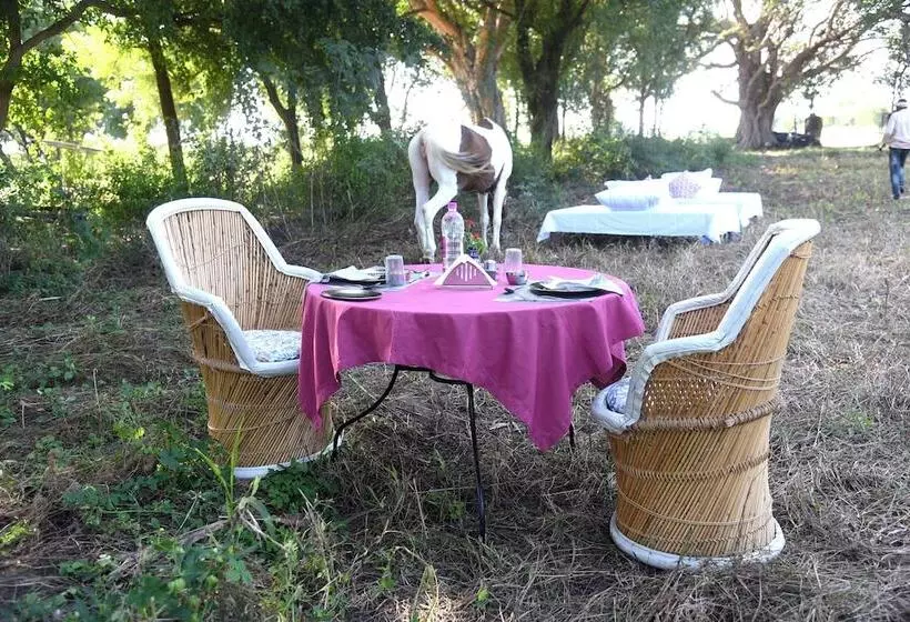 ホテル Fort Chabariya