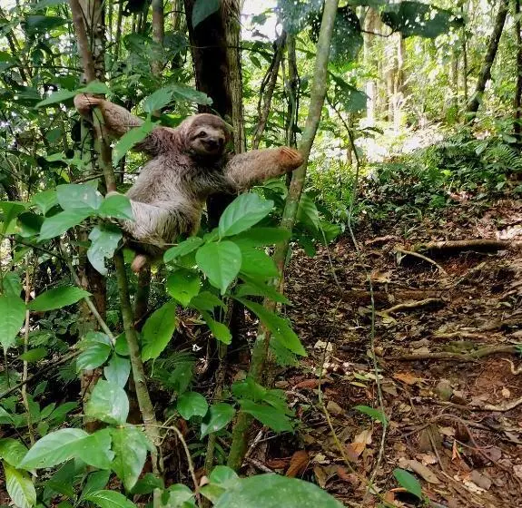 Hotelli Mira Olas Cabins