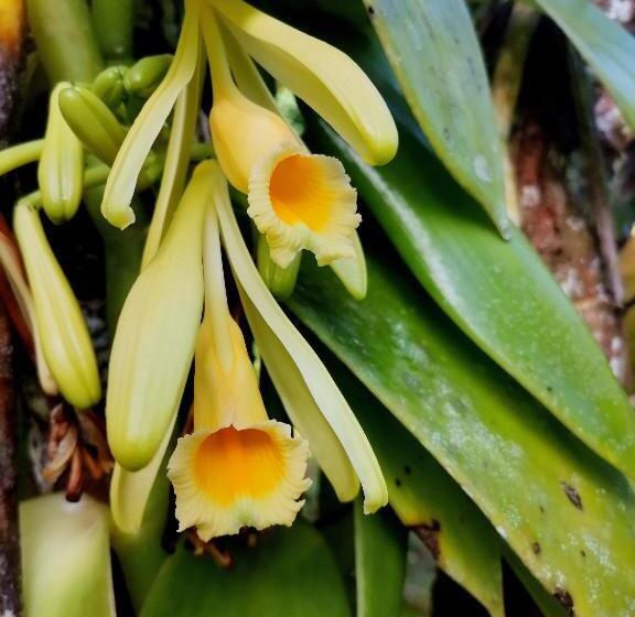 호텔 Mira Olas Cabins