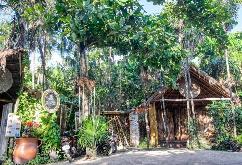 فندق Moonlight 002 At Aldea Zama