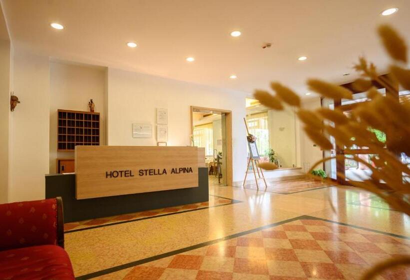 בית מלון כפרי Stella Alpina