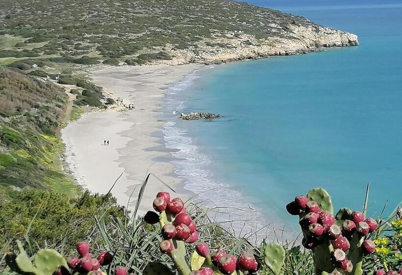 بنسيون Il Lentischio