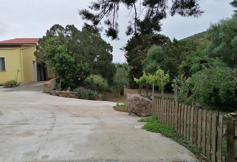 بنسيون Il Lentischio