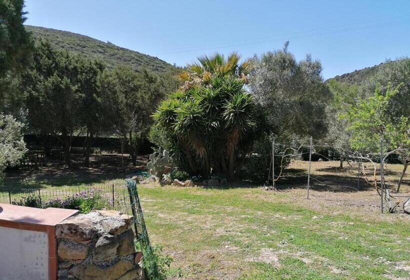 بنسيون Il Lentischio