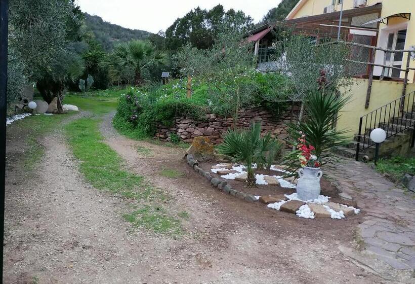 بنسيون Il Lentischio