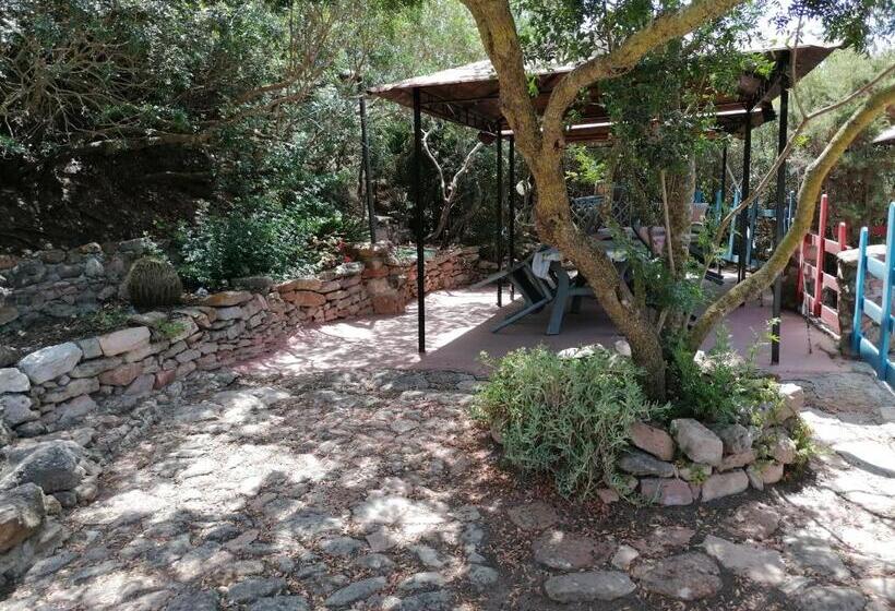 بنسيون Il Lentischio