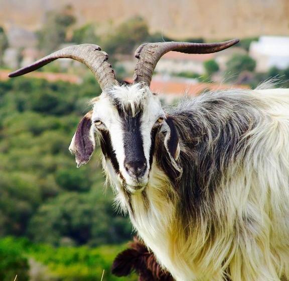 Holiday Home Via Roma