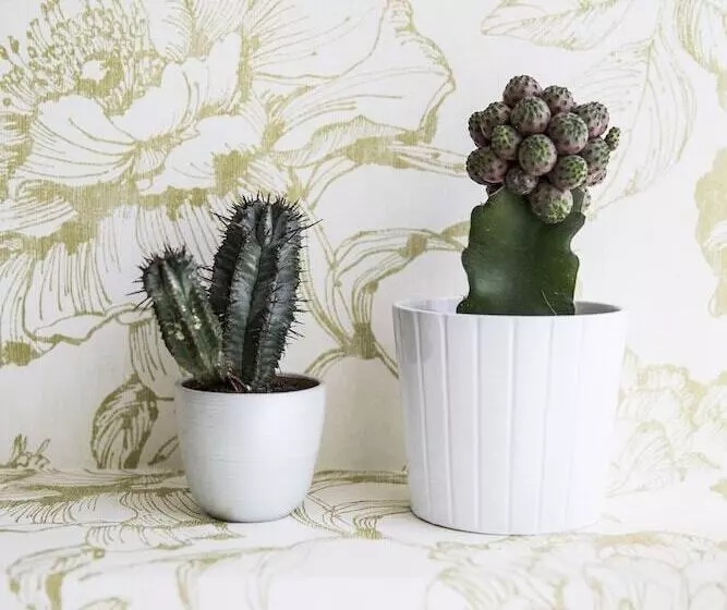 هتل Corso Italia Rooms