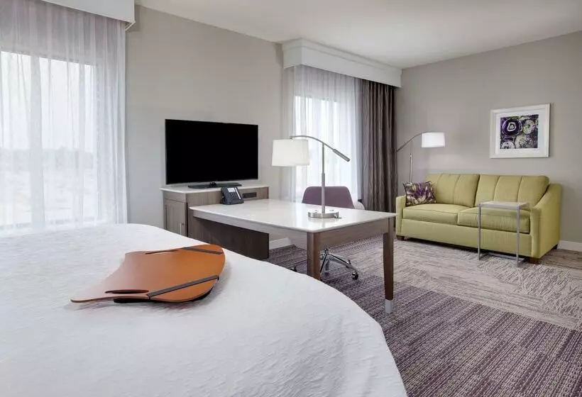 فندق Hampton Inn & Suites Tylersouth