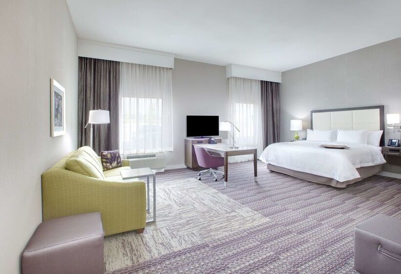هتل Hampton Inn & Suites Tylersouth