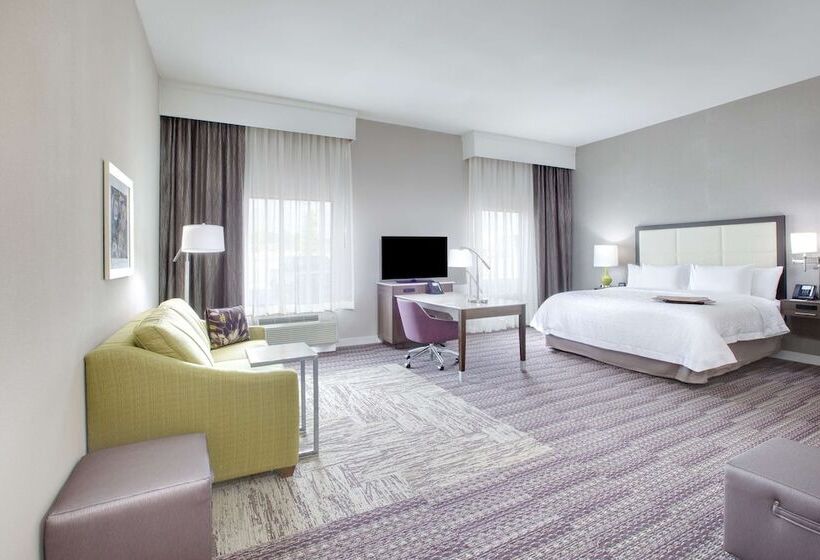 هتل Hampton Inn & Suites Tylersouth