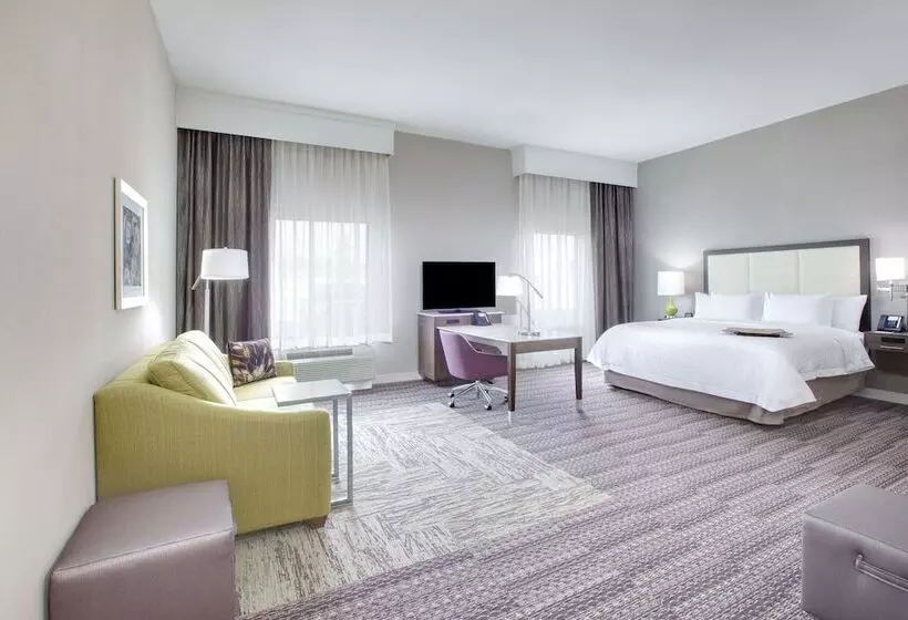 فندق Hampton Inn & Suites Tylersouth