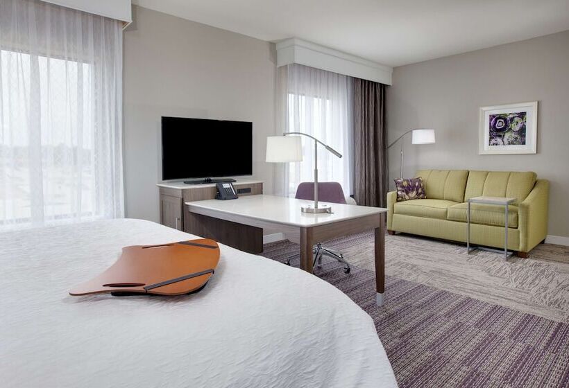هتل Hampton Inn & Suites Tylersouth