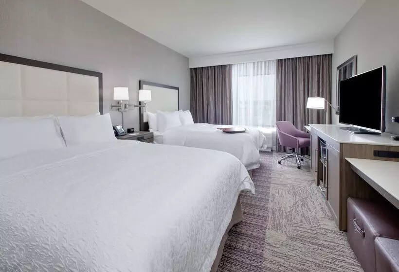 فندق Hampton Inn & Suites Tylersouth