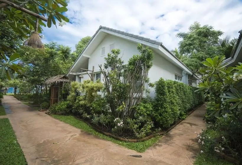 هتل King S Garden Resort Sha Plus