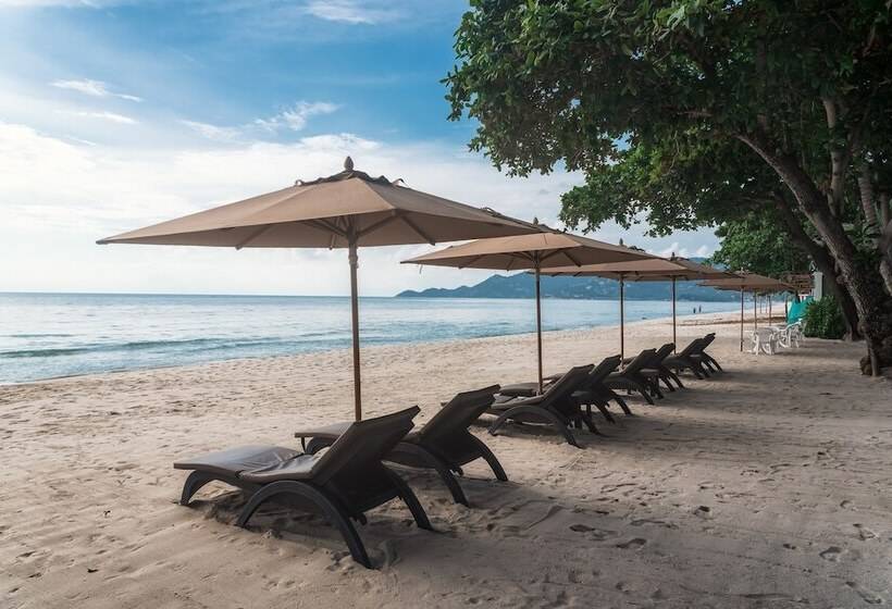 فندق King S Garden Resort   Sha Plus