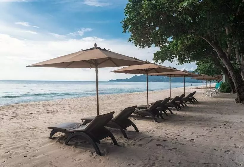 هتل King S Garden Resort Sha Plus