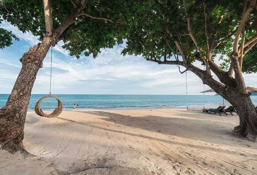 هتل King S Garden Resort Sha Plus