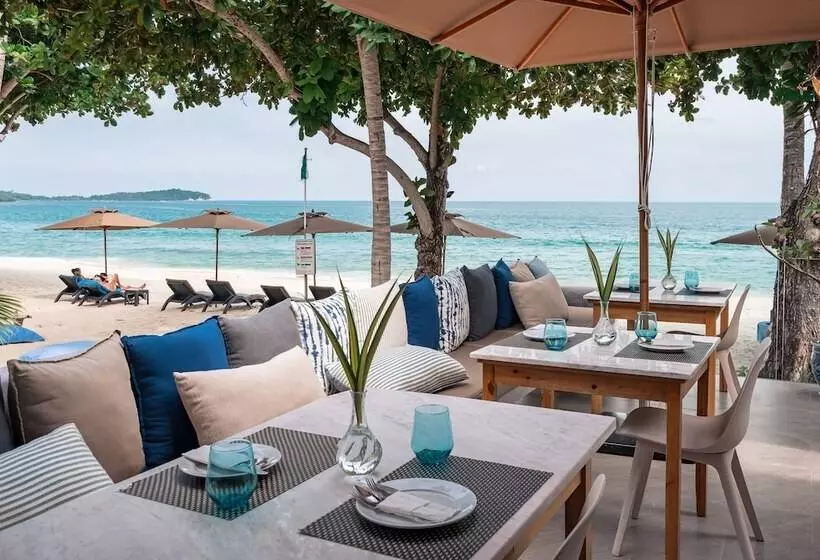 هتل King S Garden Resort Sha Plus