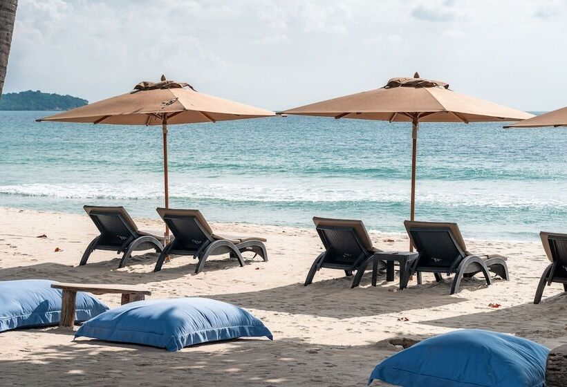 فندق King S Garden Resort   Sha Plus