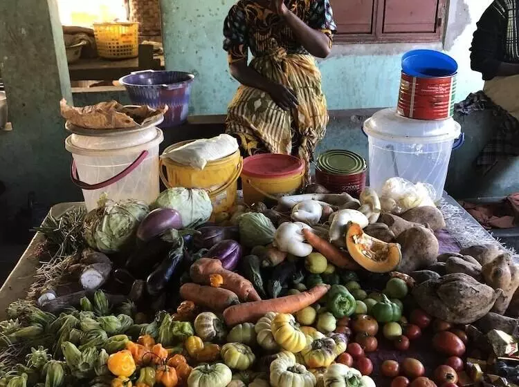 هتل Nemasu Ecolodge