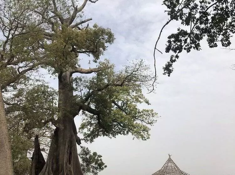 هتل Nemasu Ecolodge