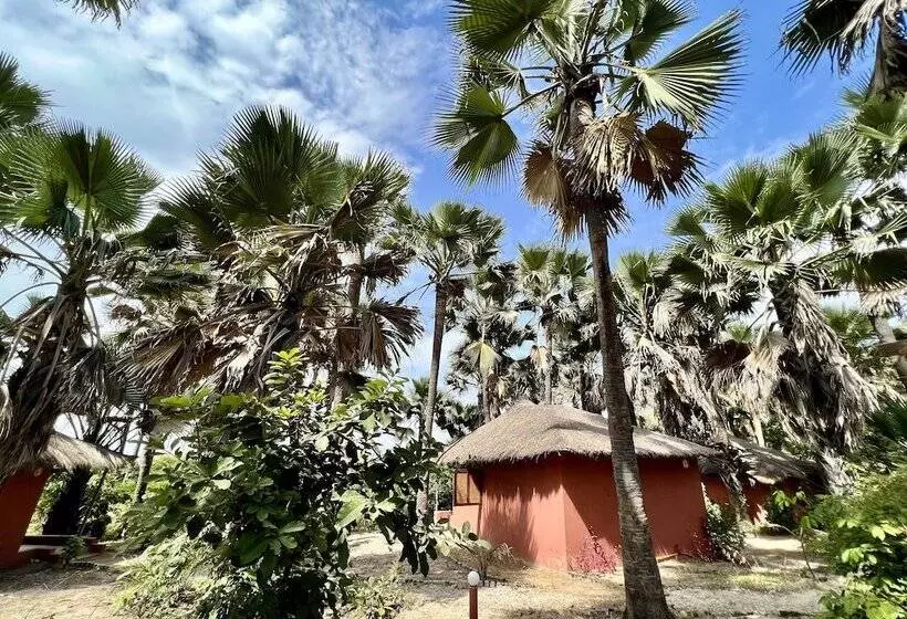 هتل Nemasu Ecolodge