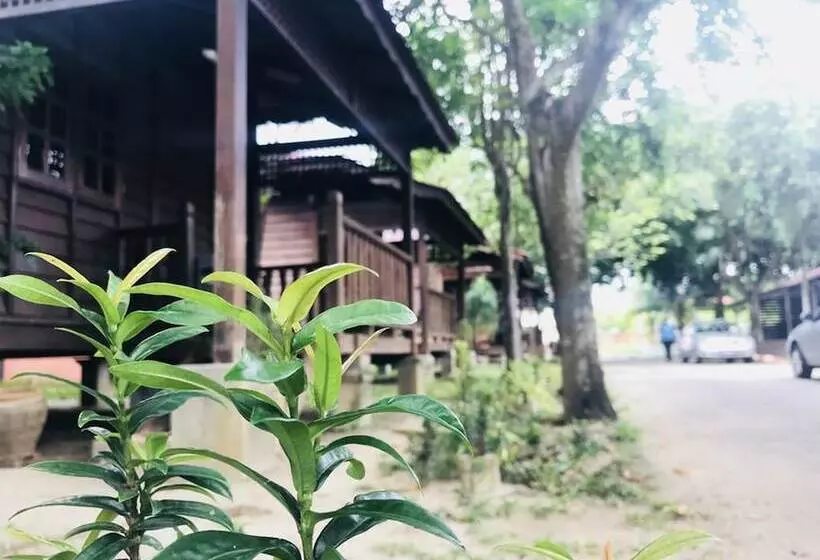 Motel Shell Out Cenang Beach Resort