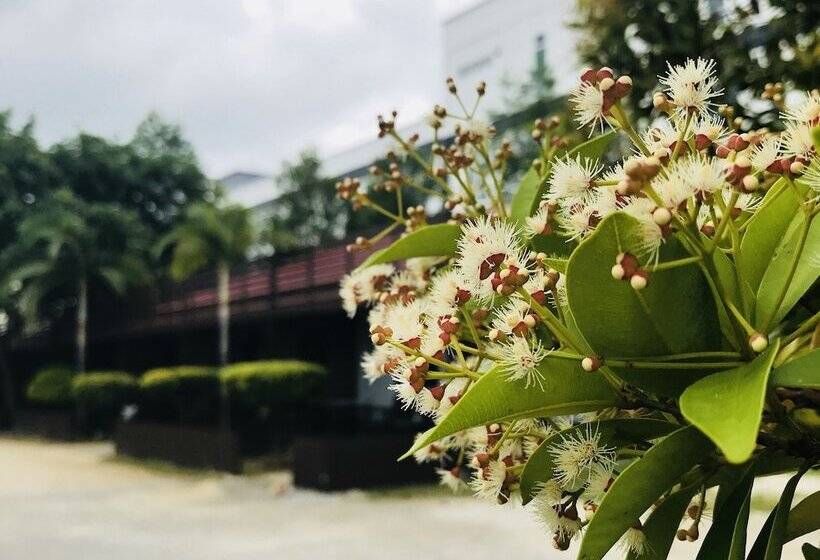 فندق على الطريق Shell Out Cenang Beach Resort