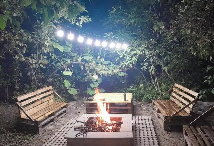 تختخواب و صبحانه Nargizaanta