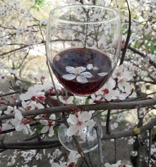 تختخواب و صبحانه Nargizaanta