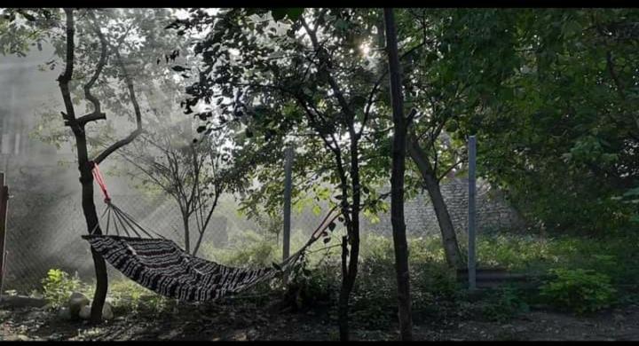 تختخواب و صبحانه Nargizaanta