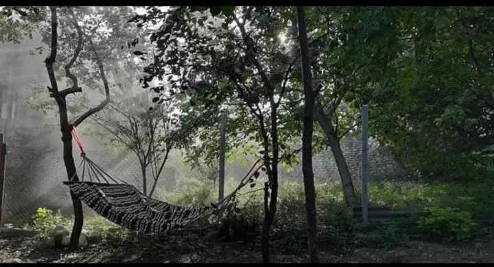 تختخواب و صبحانه Nargizaanta