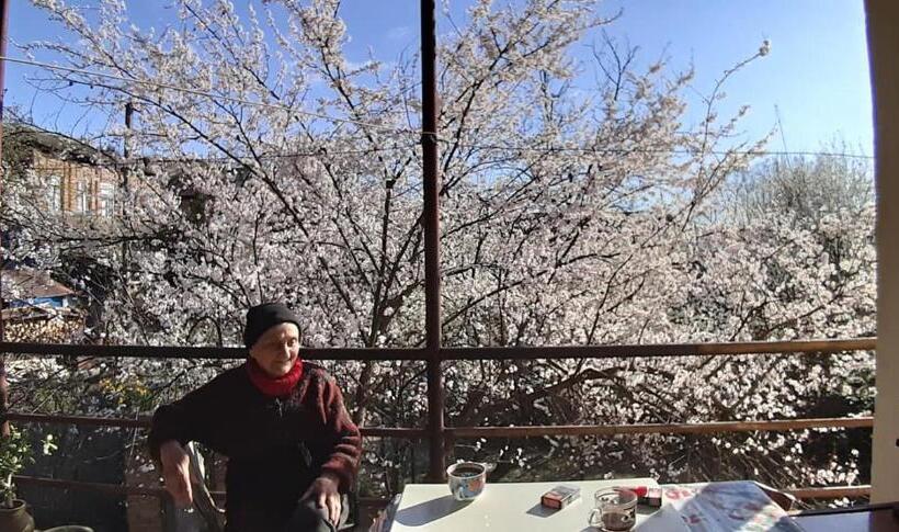 تختخواب و صبحانه Nargizaanta