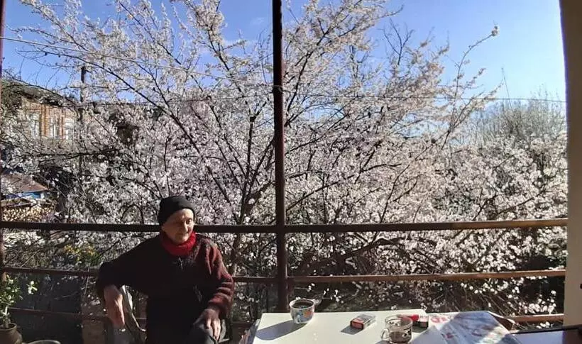 تختخواب و صبحانه Nargizaanta