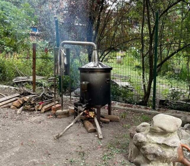 تختخواب و صبحانه Nargizaanta