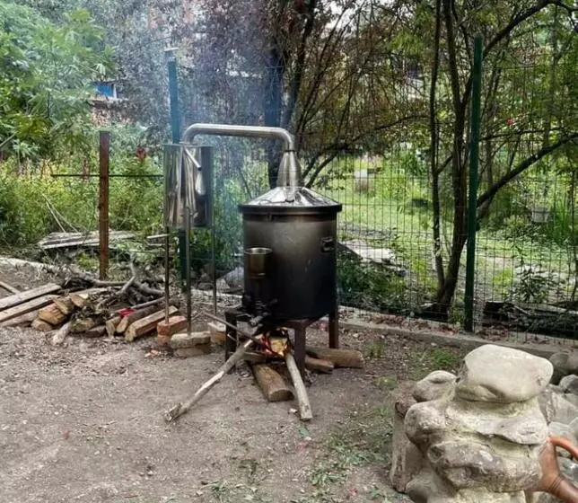 تختخواب و صبحانه Nargizaanta