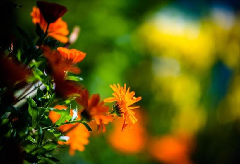 Отель Agriturismo Maso Giomo