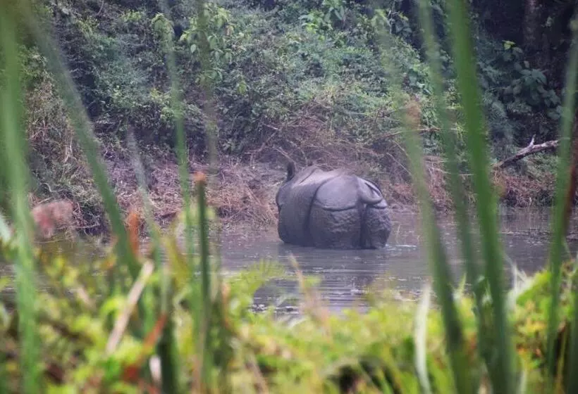 هتل The Glasshouse