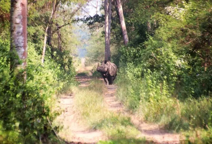 هتل The Glasshouse