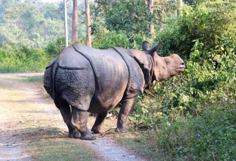 هتل The Glasshouse